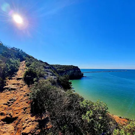 Santos Blue In Da Rocha *