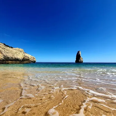 Santos Blue In Da Rocha 公寓